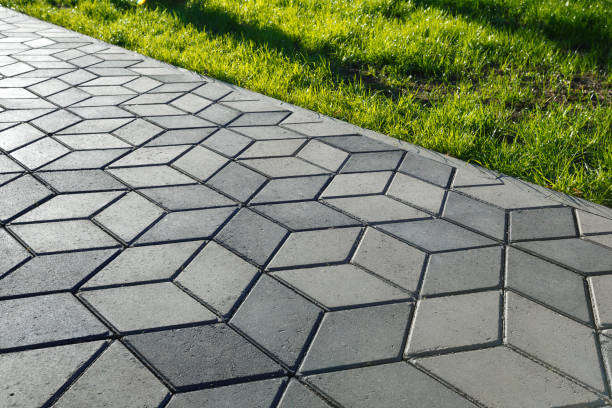 Best Local Driveway Pavers  in Gilcrest, CO
